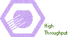 High Throughput